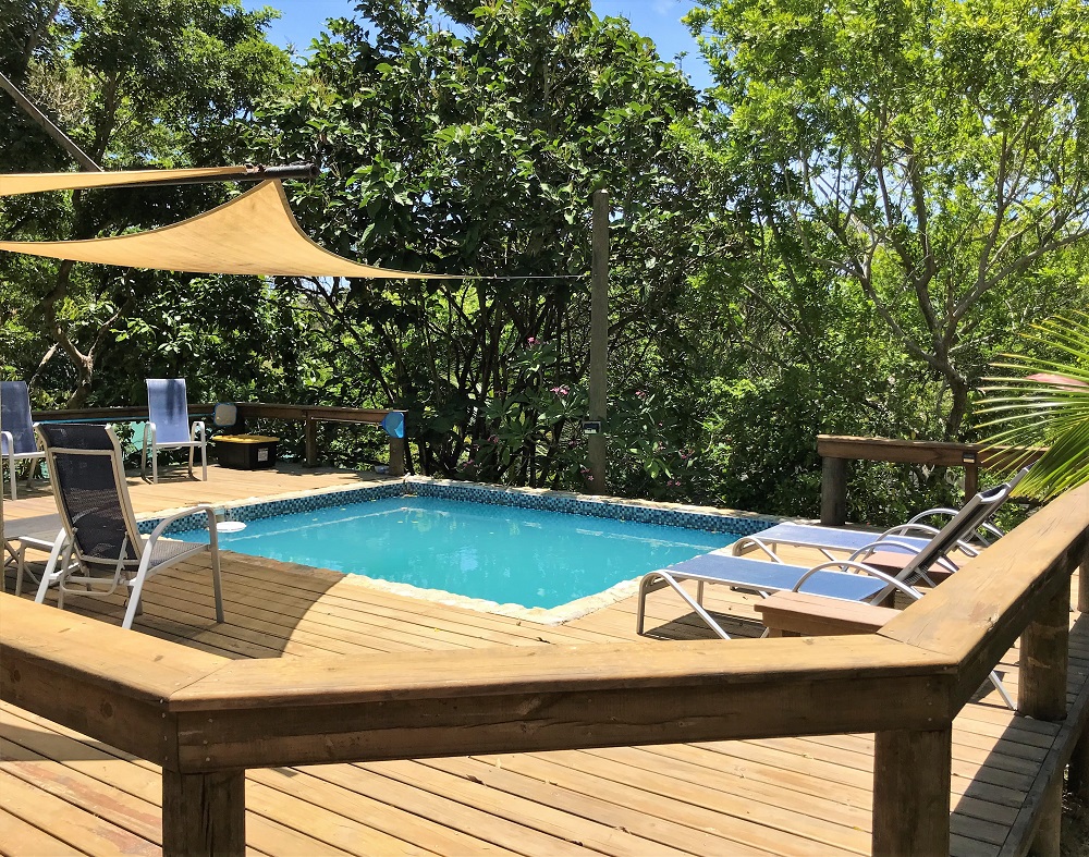 Mama-Dancer-pool-1