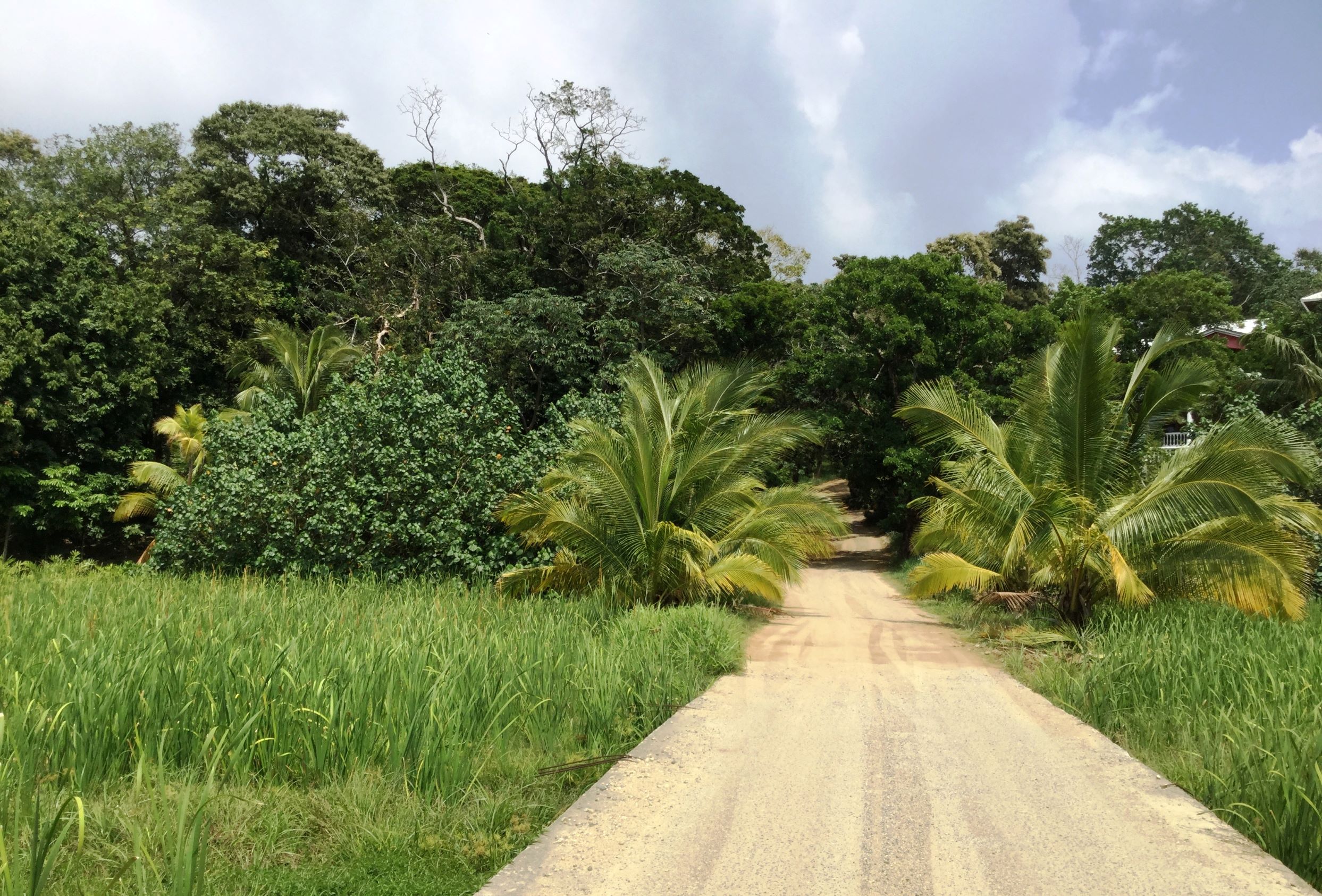 beach-road-2