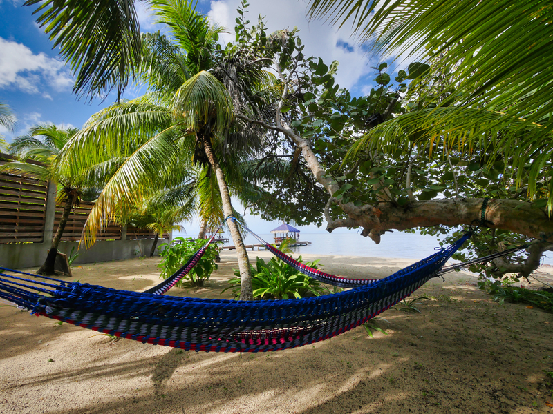 Hammocks-2