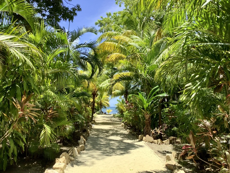 SUNDANCER-beach-path