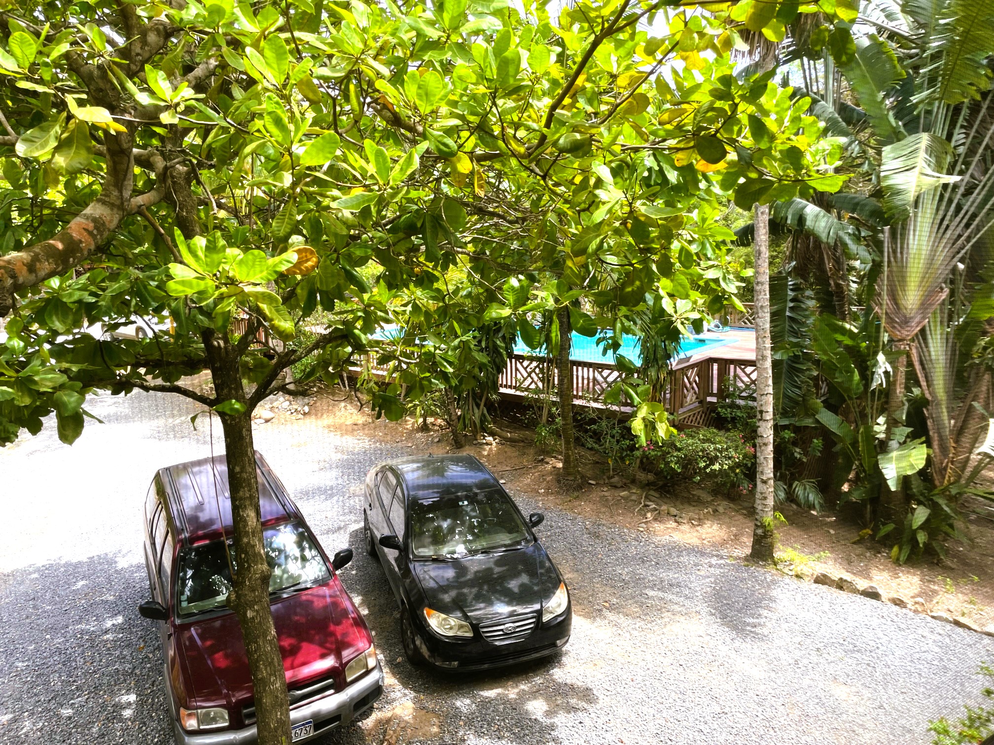 back-porch-pool