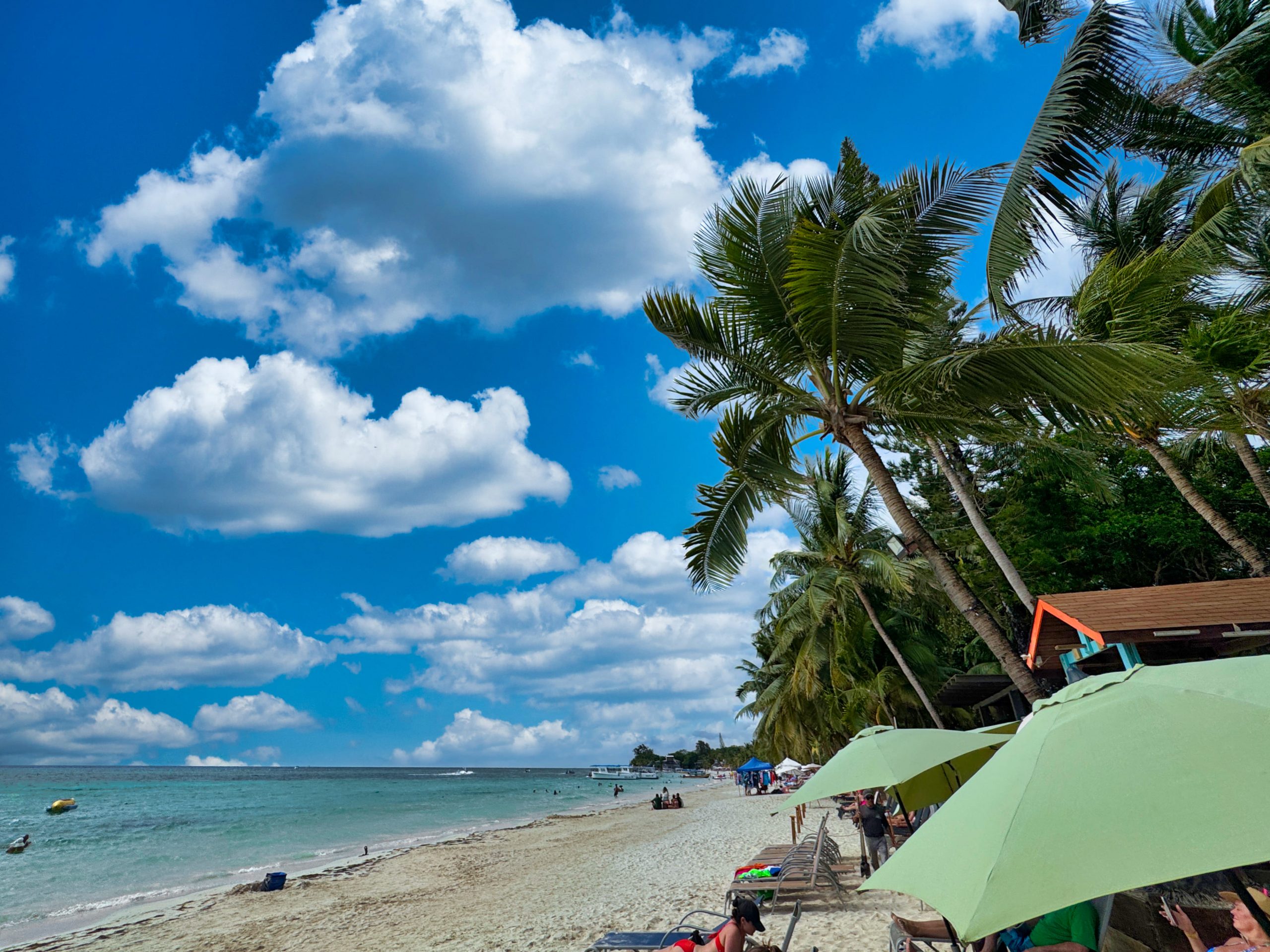 Z17-1902-LumAI-scaled