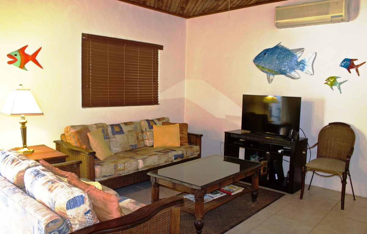 SV4B-living-room-e1545928130762