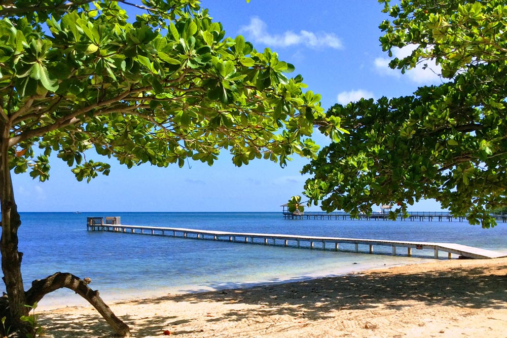 beach-and-dock1