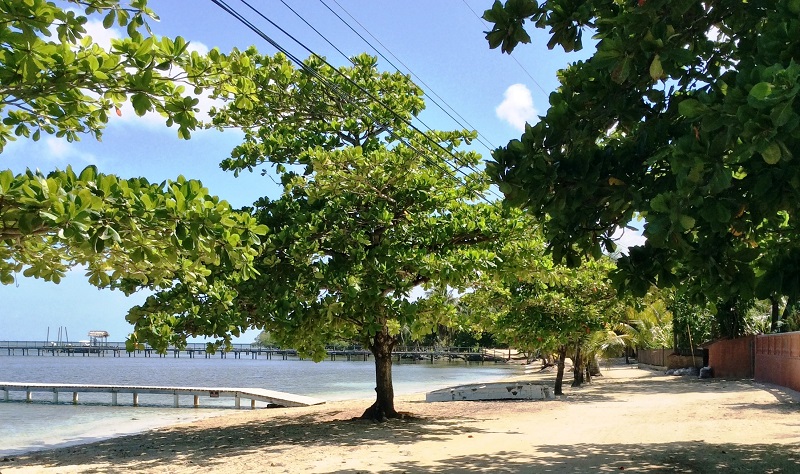 beach-road