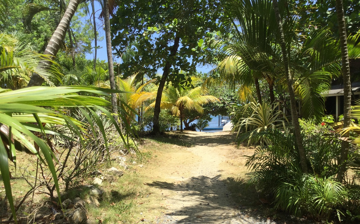 path-to-the-beach-II-2