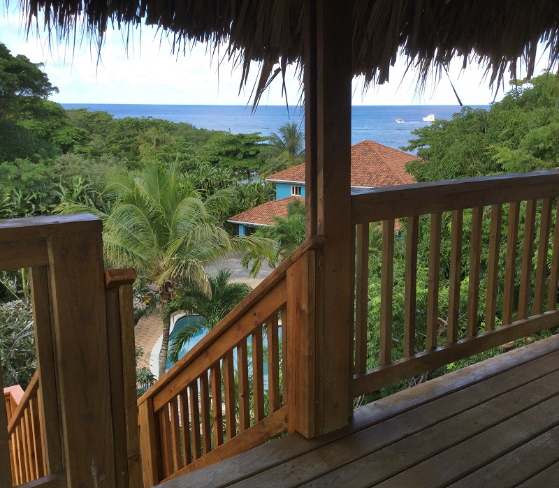 view-from-palapa